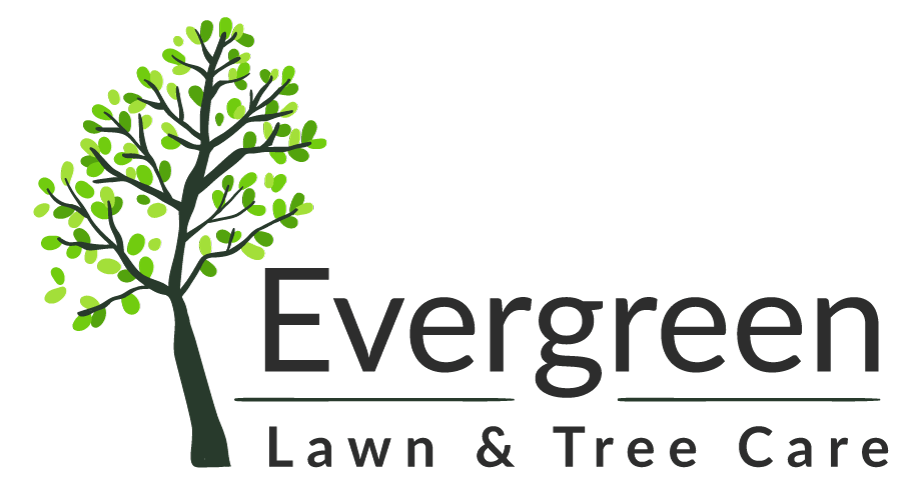 Evergreen Lawn & Tree Care | Cheyenne, WY | Landscaping & Tree Services